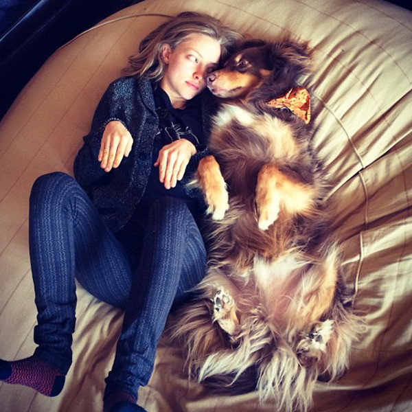 Amanda Seyfried, sleeping Amanda Seyfried, sleeping